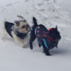 Meet your Posher, Tannee